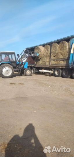 Сено Оптом с доставкой