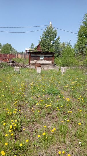 Участок 6 сот. (СНТ, ДНП)