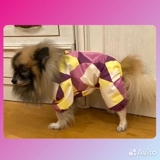 Одежда для собак. Штю на заказ