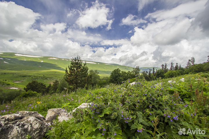 Объектив Canon EF-S 10-22mm f/3.5-4.5 USM