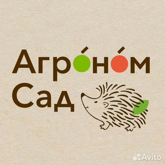 Разнорабочий на Сбор Яблок Липецкая обл. Вахта