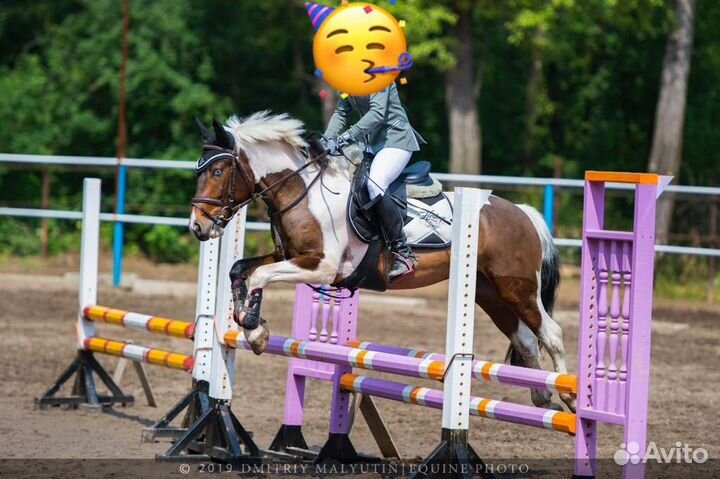 Препятствия для конного спорта.Стойки и жерди