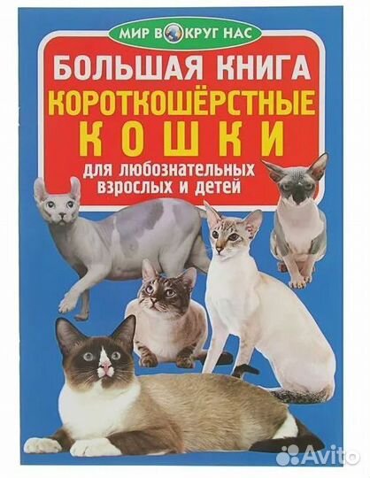 Большая книга 0069 Короткошерстные кошки