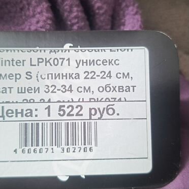 Одежда для собак