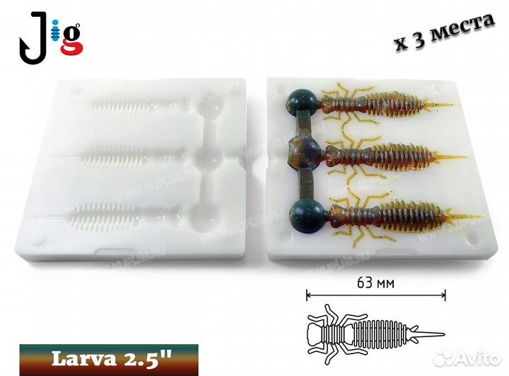 Larva 2.5