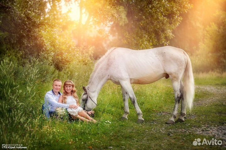 Фотограф Новокузнецк