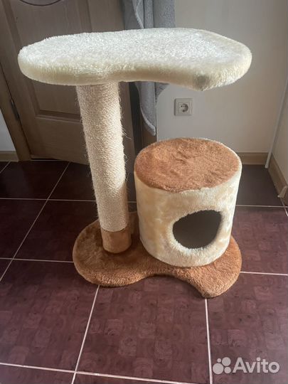 Когтеточка