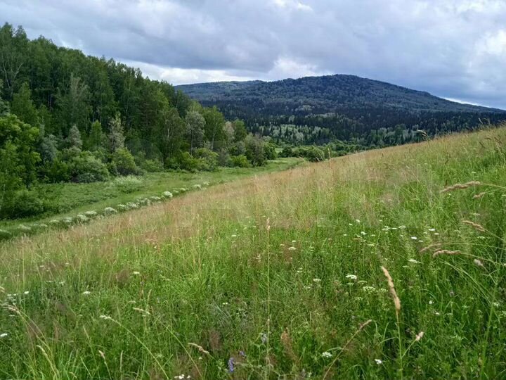 Участок 24 га (СНТ, ДНП)