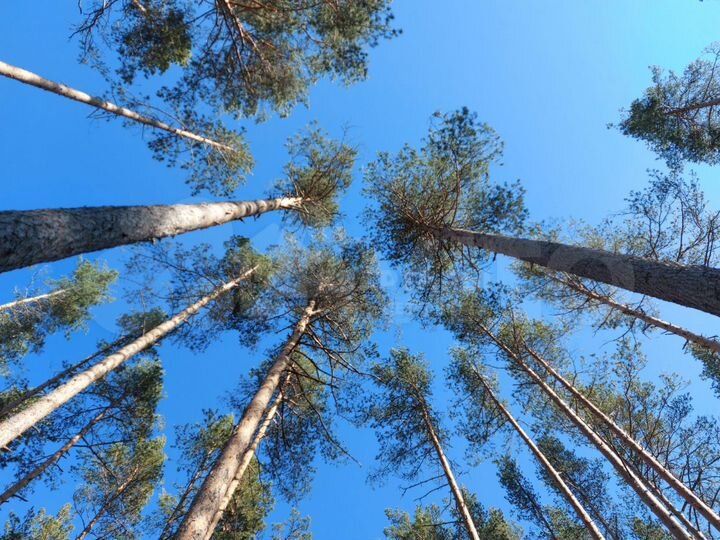 Дом 40 м² на участке 4,3 сот.