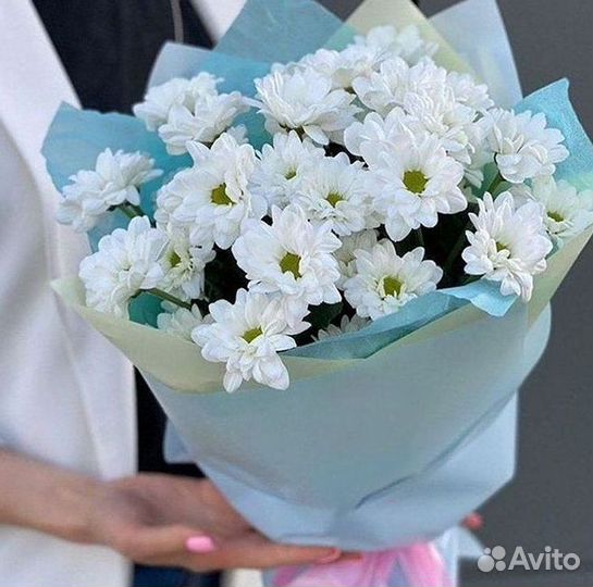 Хризантема