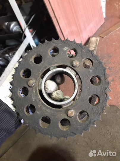 Звезда зид pilot