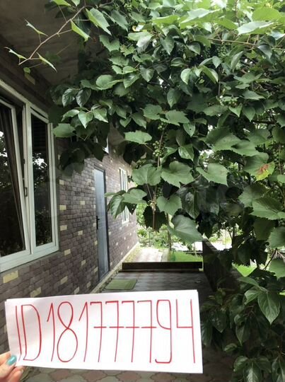 Дом 186,6 м² на участке 3 сот.