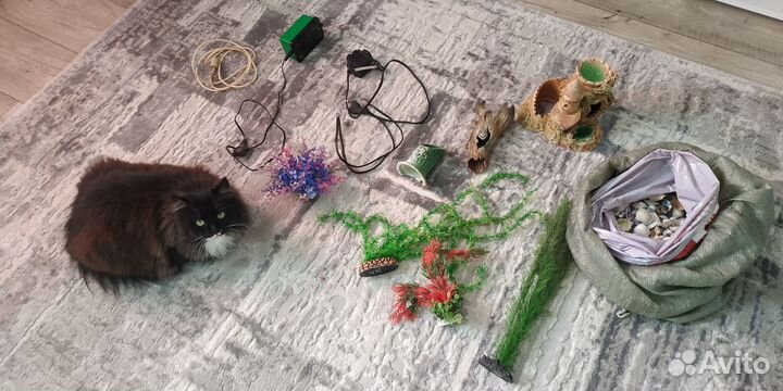 Аквариум с принадлежностями