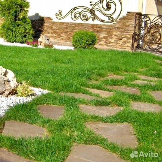 Газон. Рулонный газон