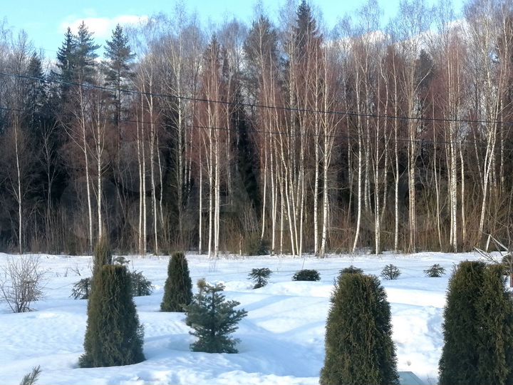 Участок 23 сот. (СНТ, ДНП)