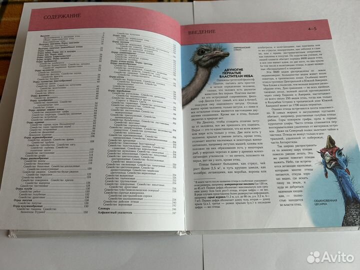 Полная энциклопедия. Птицы