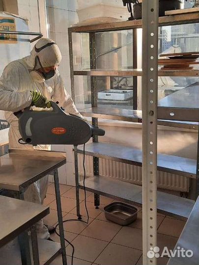 Дезинфекция от тараканов и клопов грызунов