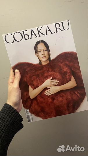 Новые журналы собака