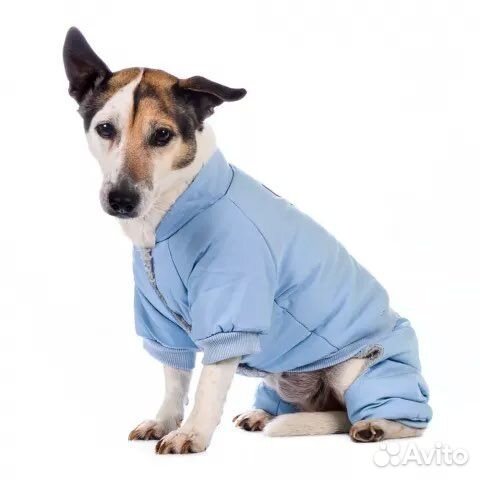 Комбинезон зимний для собак xs