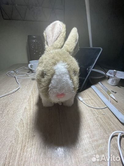 Интерактивные игрушки кролик