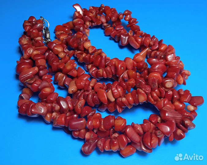 Морские кораллы