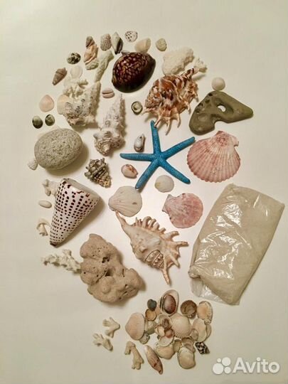 Морская коллекция новая