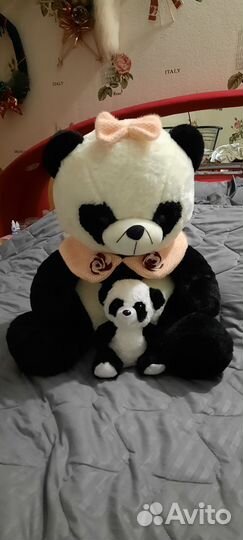 Панда большой медведь