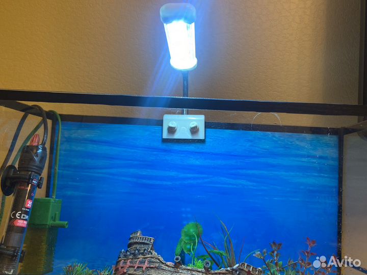 Аквариум под ключ
