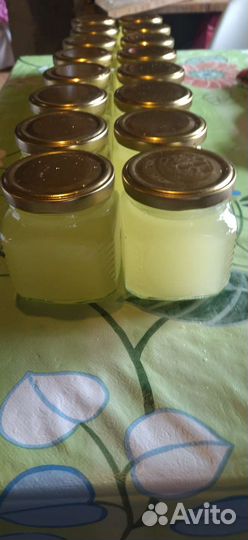 Барсучий жир 2023 г. От охотника