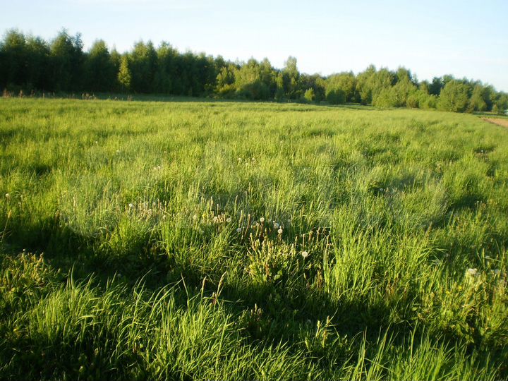 Участок 29,4 сот. (ИЖС)