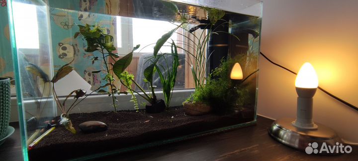 Аквариум