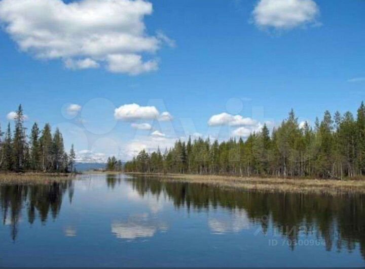 Дача 58 м² на участке 50 сот.