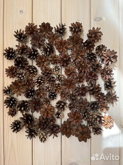 Шишки для декора