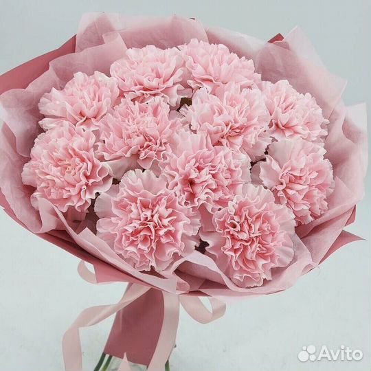 Диантус, Цветы, Букеты, Доставка