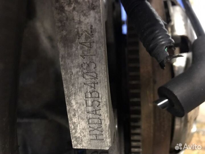 Двигатель Ford Focus 2 1.6 л 100 лс hxdа