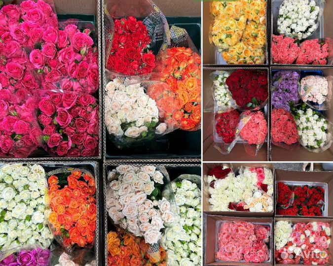 Цветы Розы Оптом