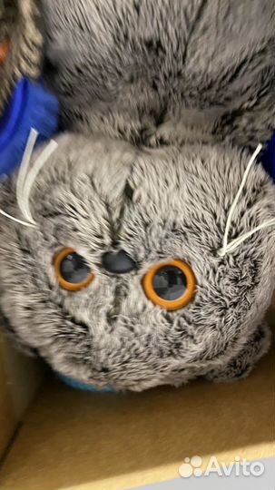 Игрушка кот басик