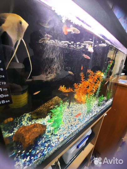 Продам аквариум 90 литров