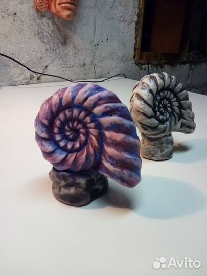 Ракушка наутилус