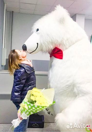 Белый мишка поздравление