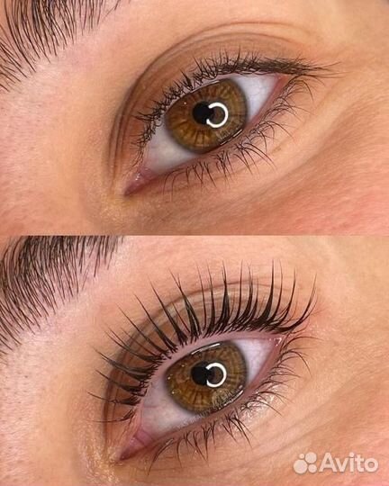 Брови ресницы
