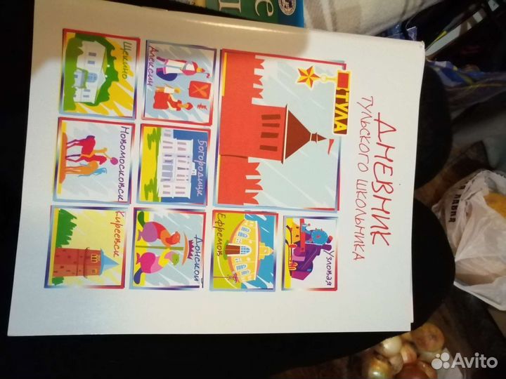 Дневники на выбор новые