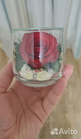 Цветы Роза стабилизированная