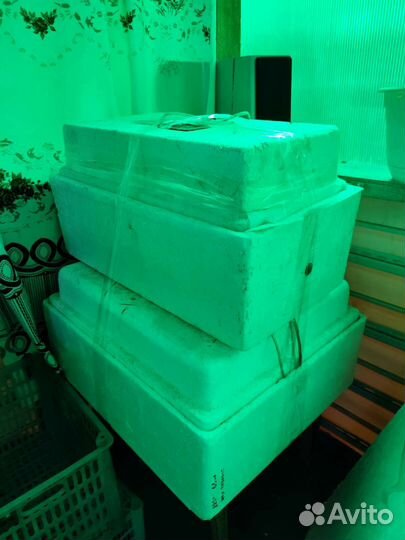 Инкубатор выводной