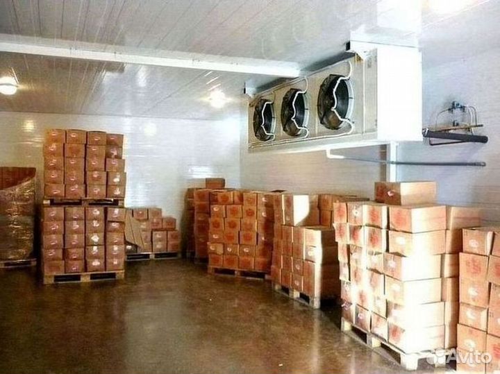 Морозильная камера шоковой заморозки