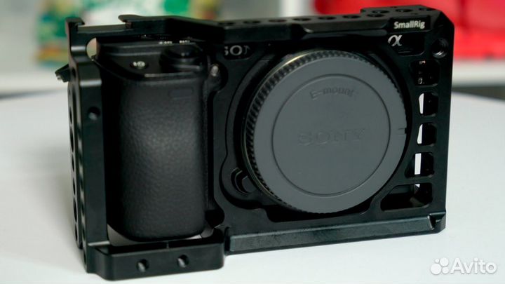 Sony a6300 + 16-50mm