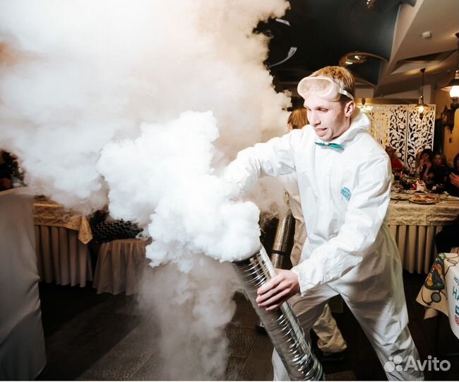 Научное шоу /Крио шоу / химическое шоу