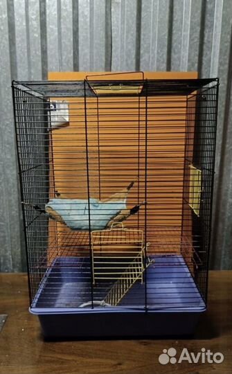 Крыса с клеткой