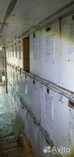 Пчелопавильон, пасека