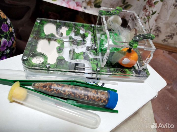 Муравьиная ферма / формикарий